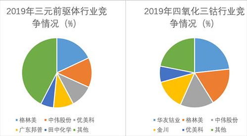 长文 从20家上市公司读懂a股新能源汽车产业链